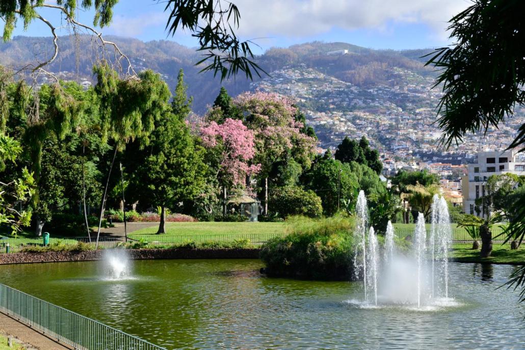 Appartement Ocean Paradise Do Til Funchal (Madeira)